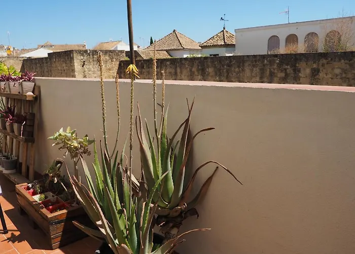 En Juderia La Murallita Cordoba