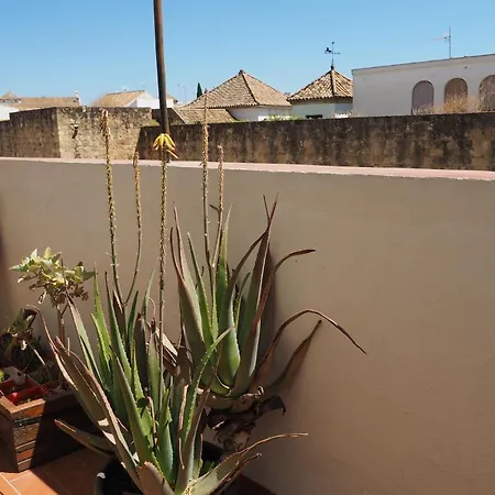 En Judería La Murallita Córdoba